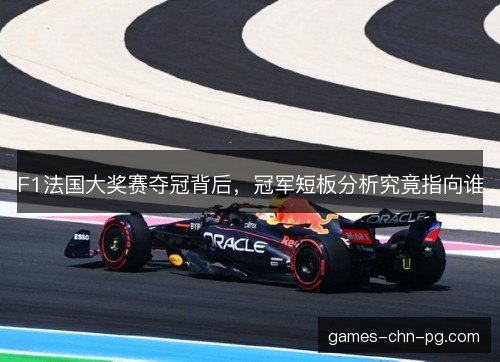 F1法国大奖赛夺冠背后，冠军短板分析究竟指向谁